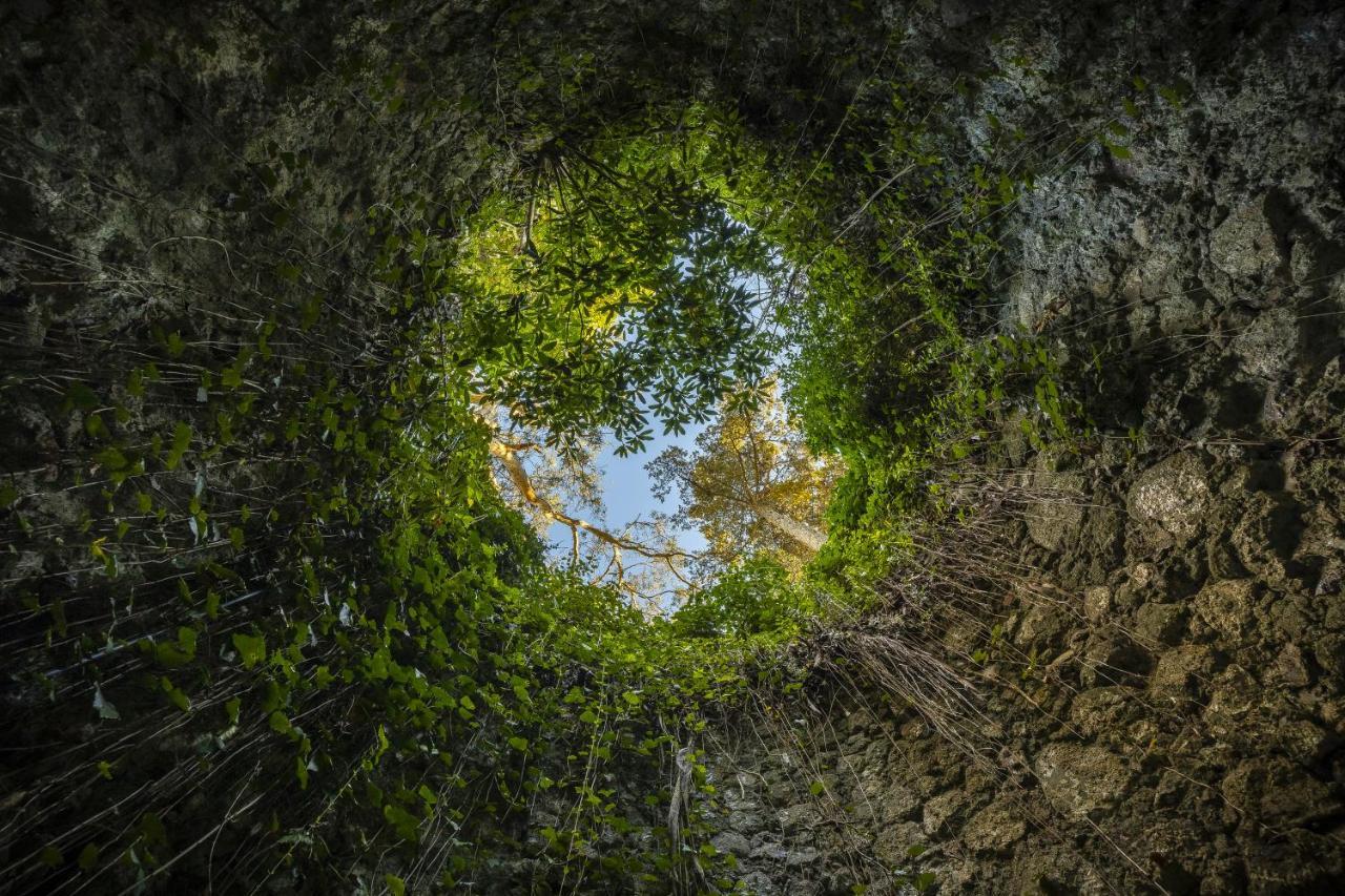 Sintra Marmoris Palace Экстерьер фото