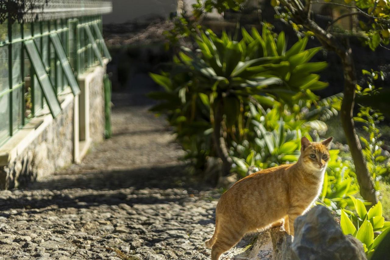 Sintra Marmoris Palace Экстерьер фото